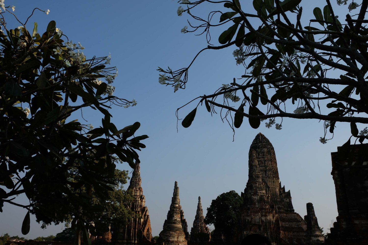 Wat Chaiwatthanaram Ayutthaya