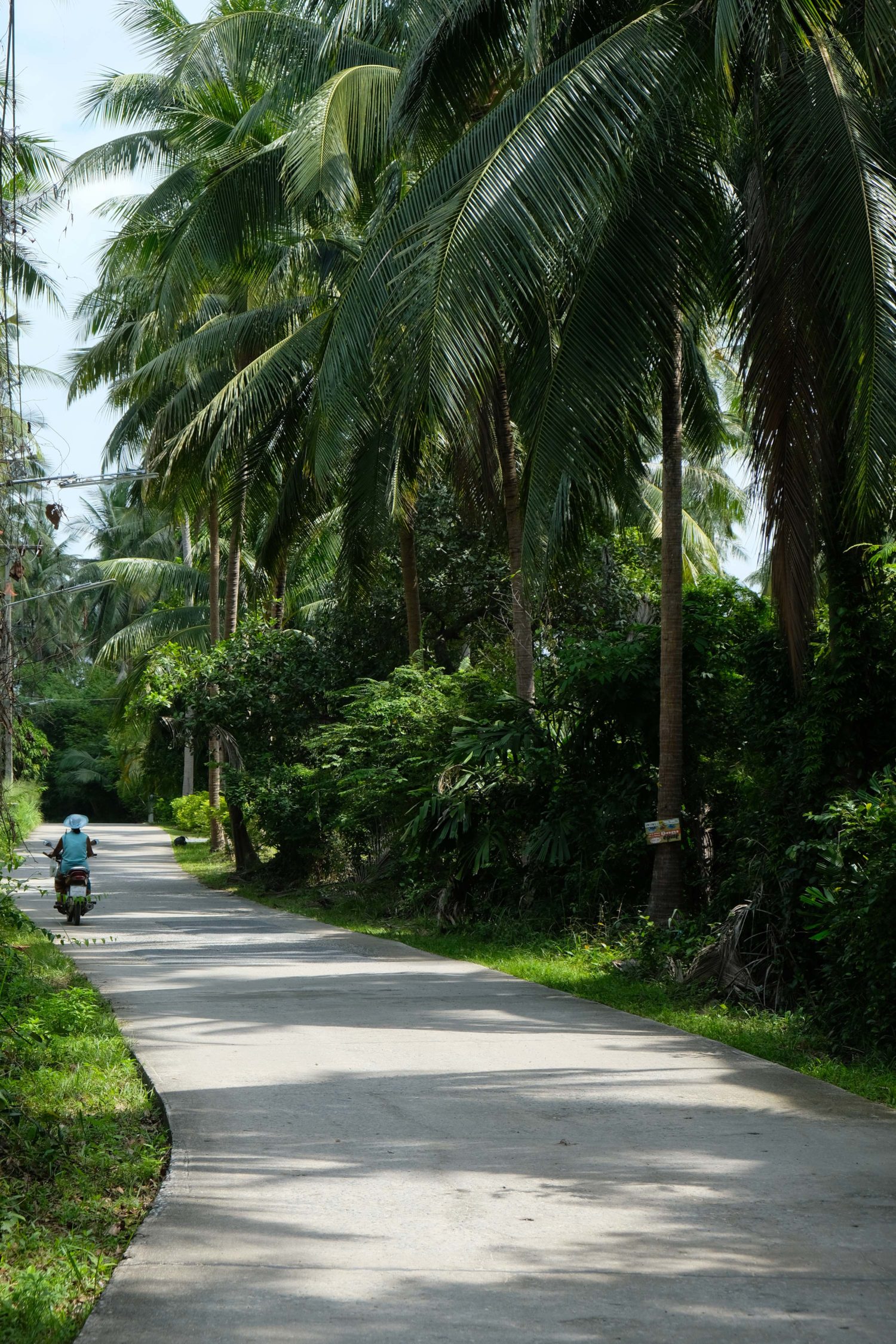 ko samui thailand 