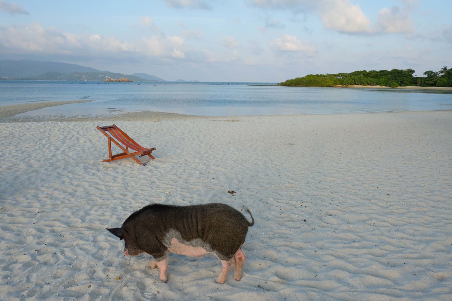 ko samui thailand 