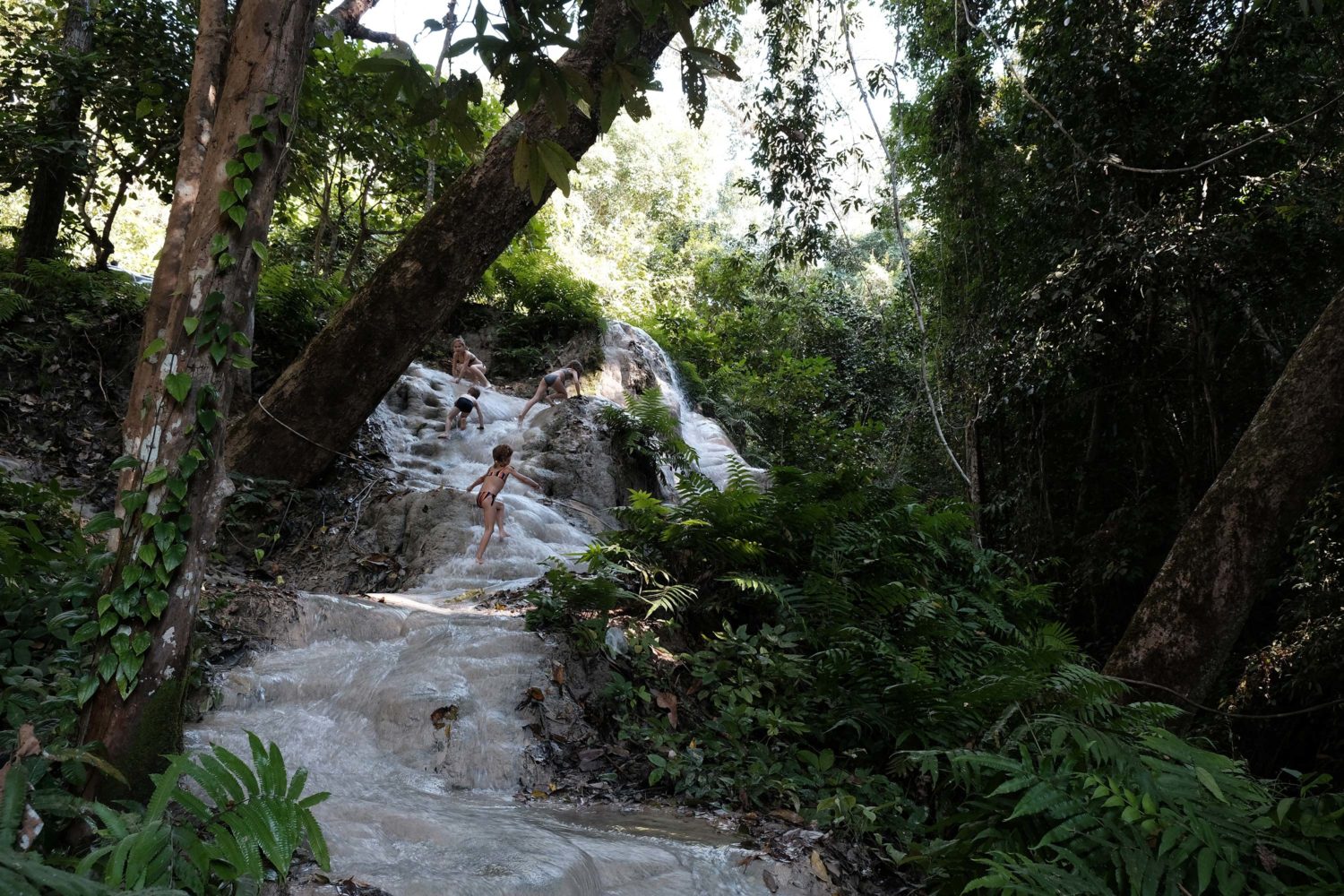 sticky waterfall Chiang Mai 