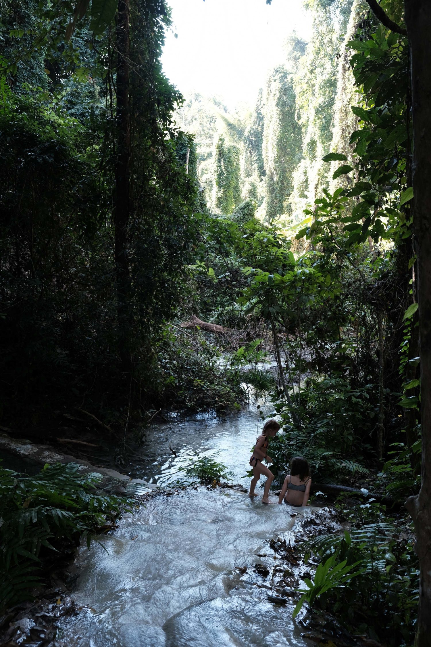 sticky waterfall Chiang Mai 