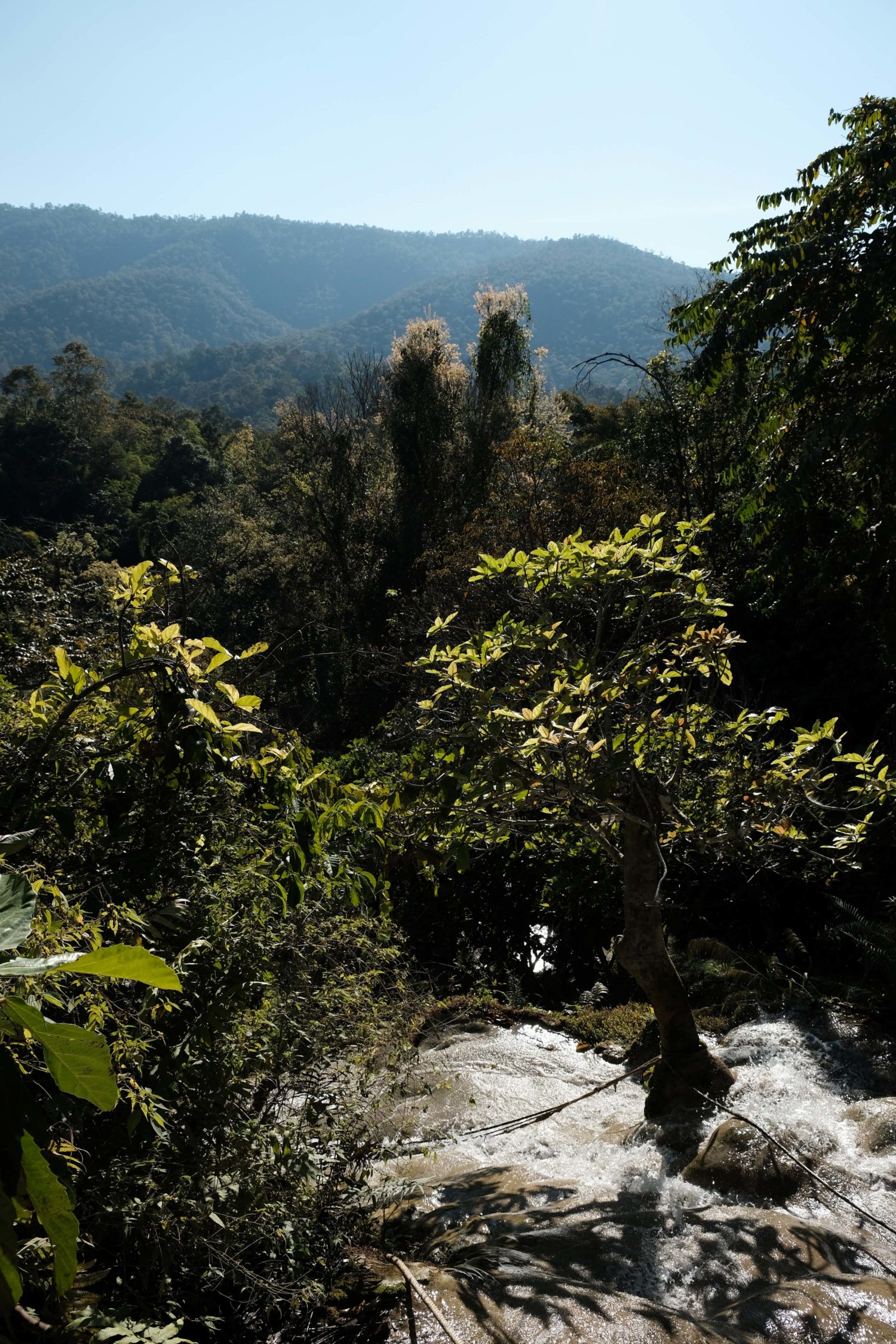 sticky waterfall Chiang Mai 