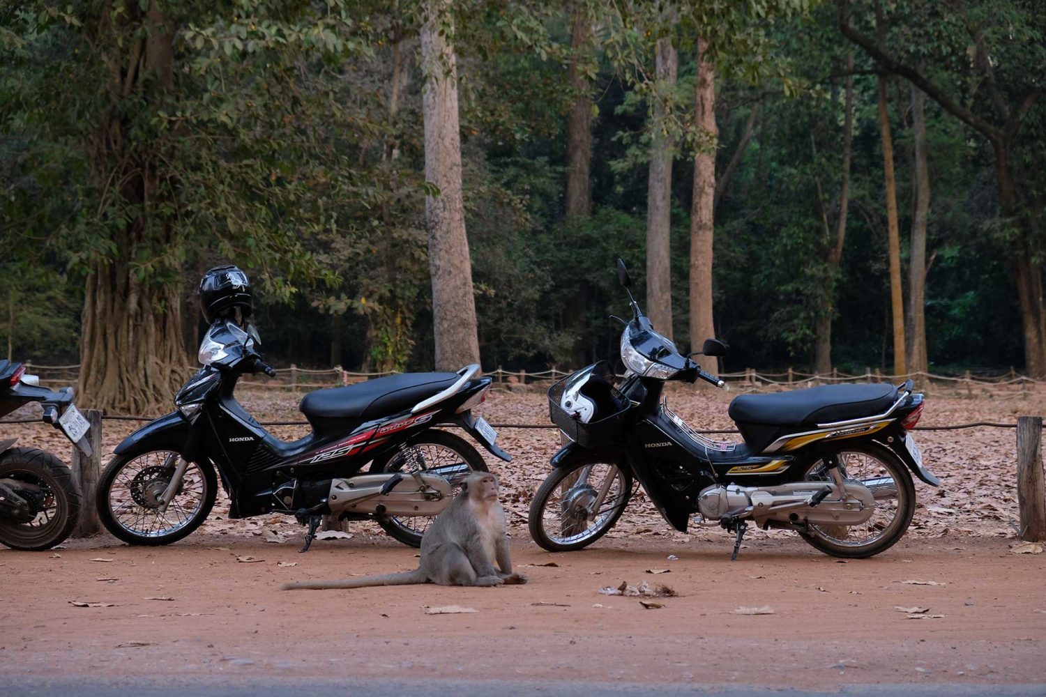 Angkor Siem Reap Cambodge 