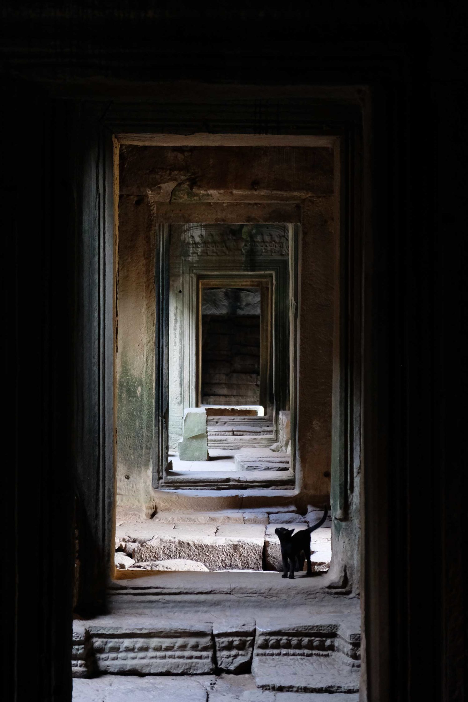 Bayon Siem Reap Cambodge 