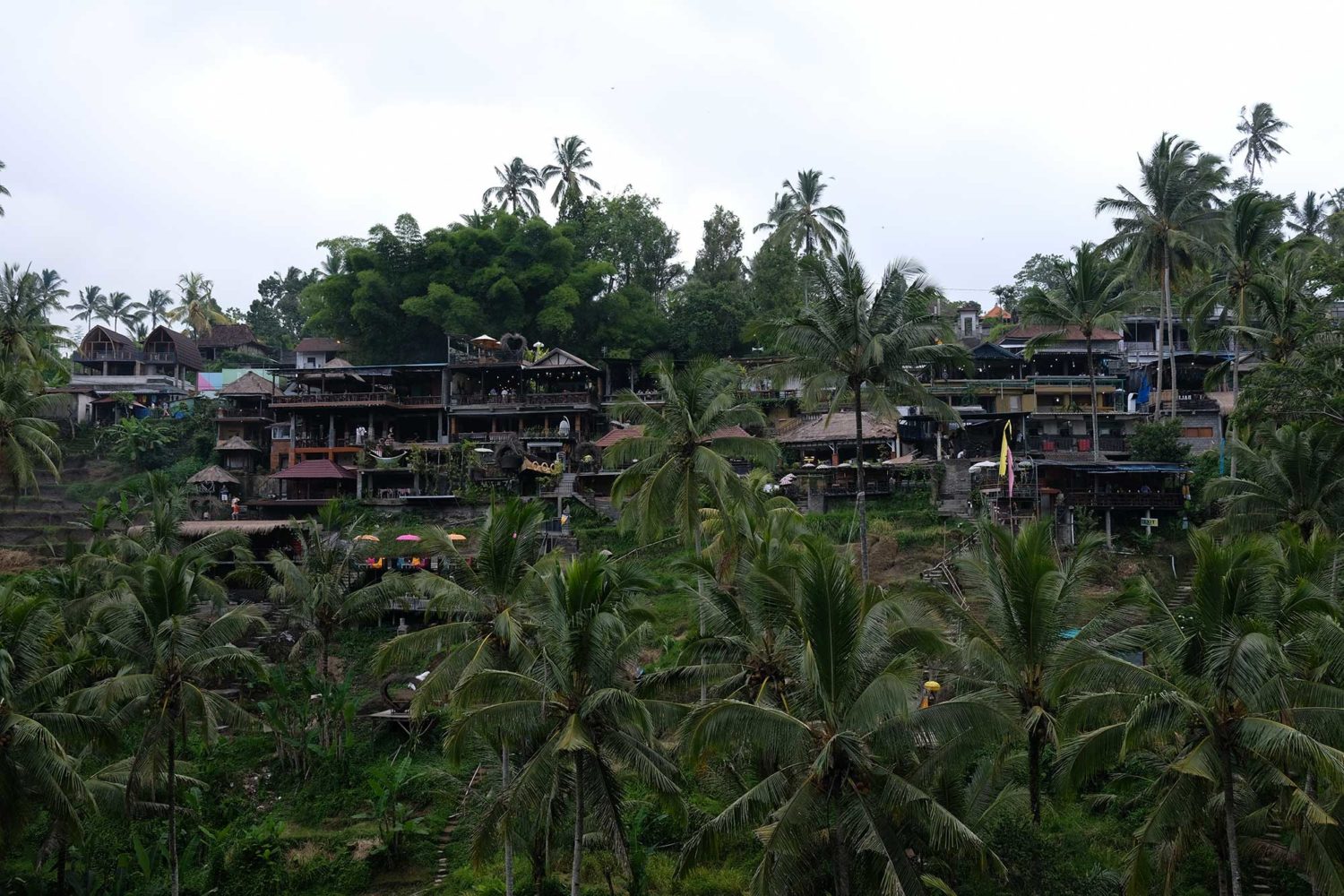 Tegallalang rizières Bali 