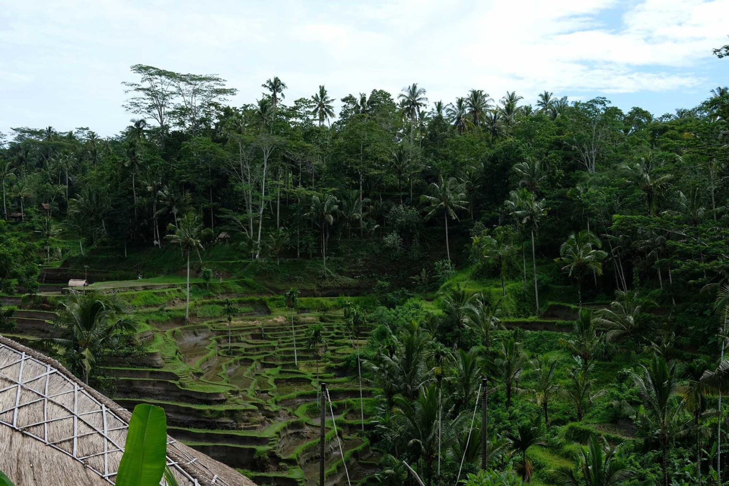 Tegallalang rizières Bali 