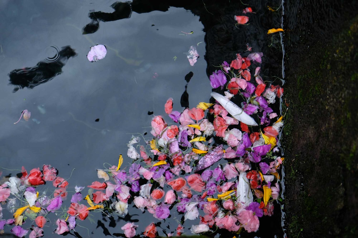 Tirta Empul Bali 