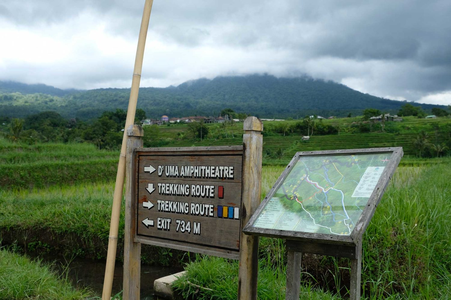 rizières de Jatiluwuh Bali 