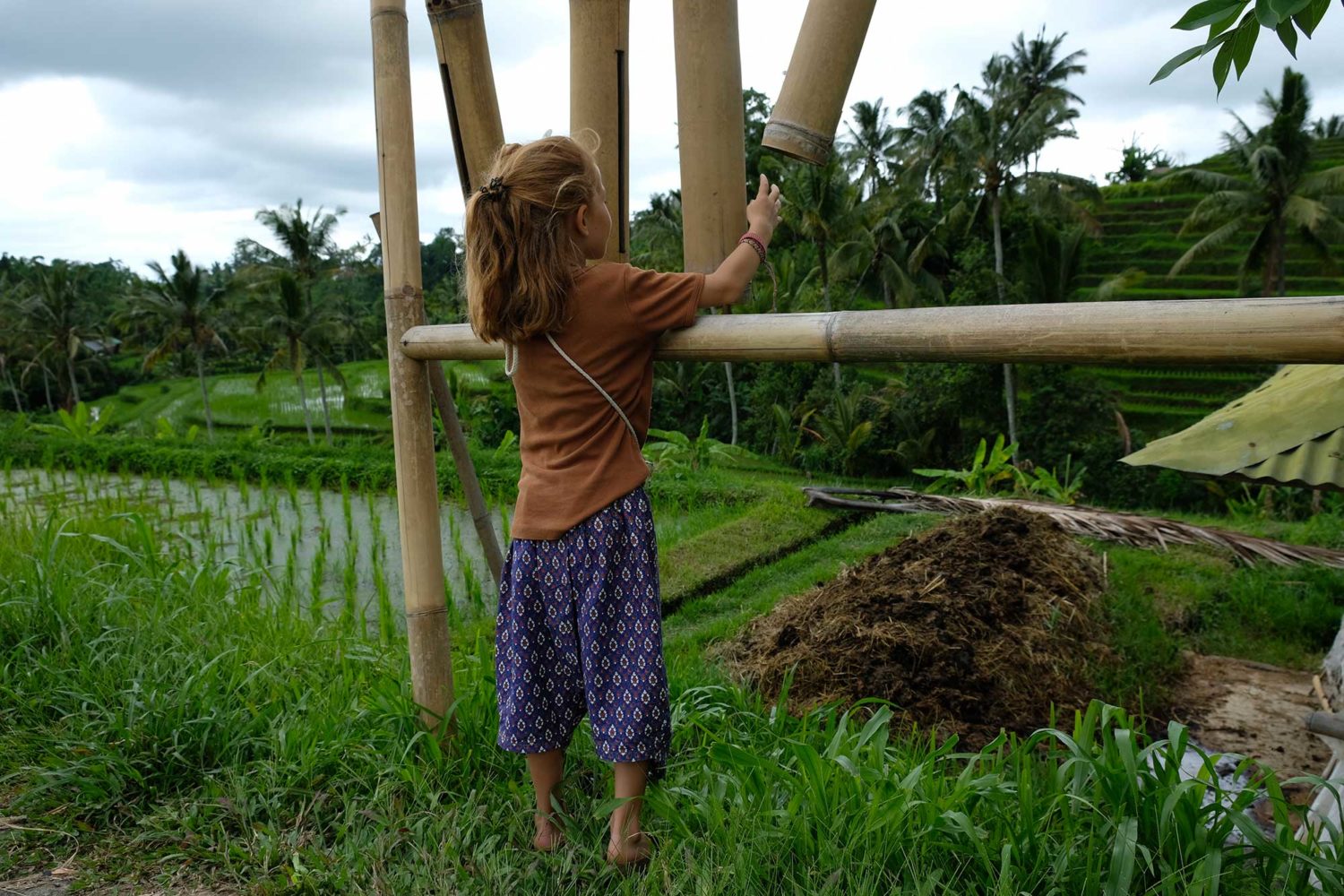 rizières de Jatiluwuh Bali 