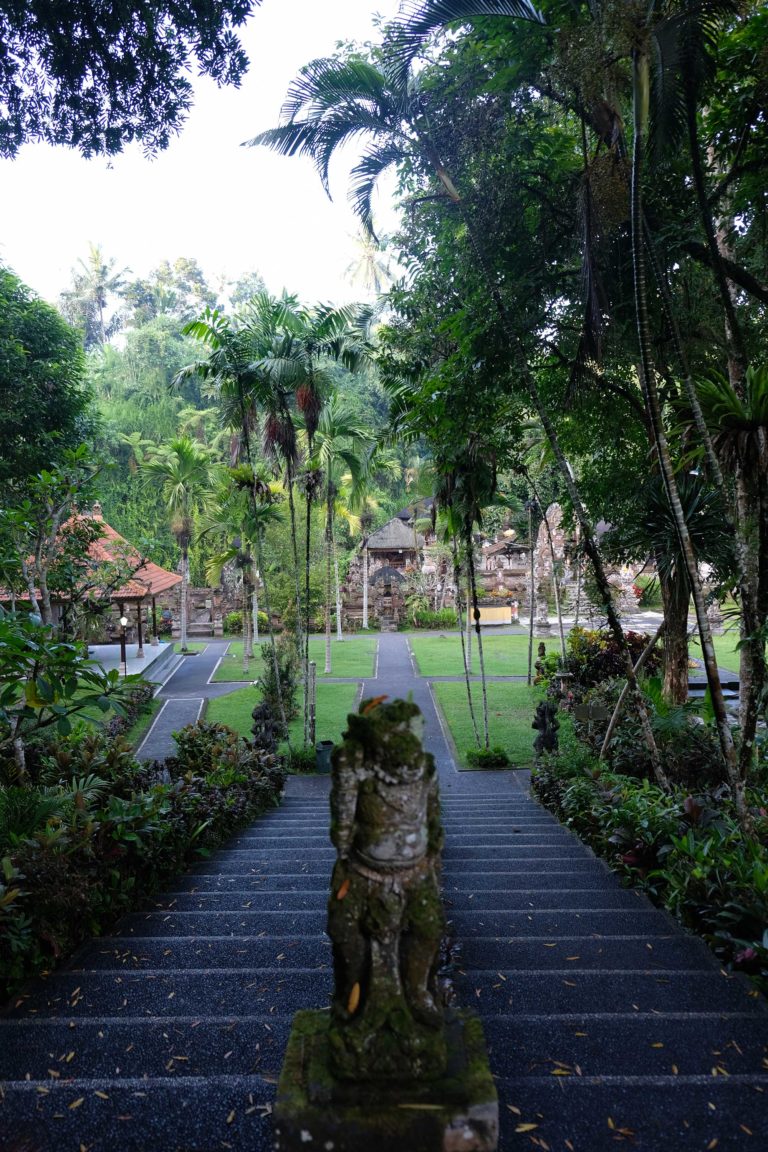  Bali  entre spiritualit  et v g tation luxuriante et 