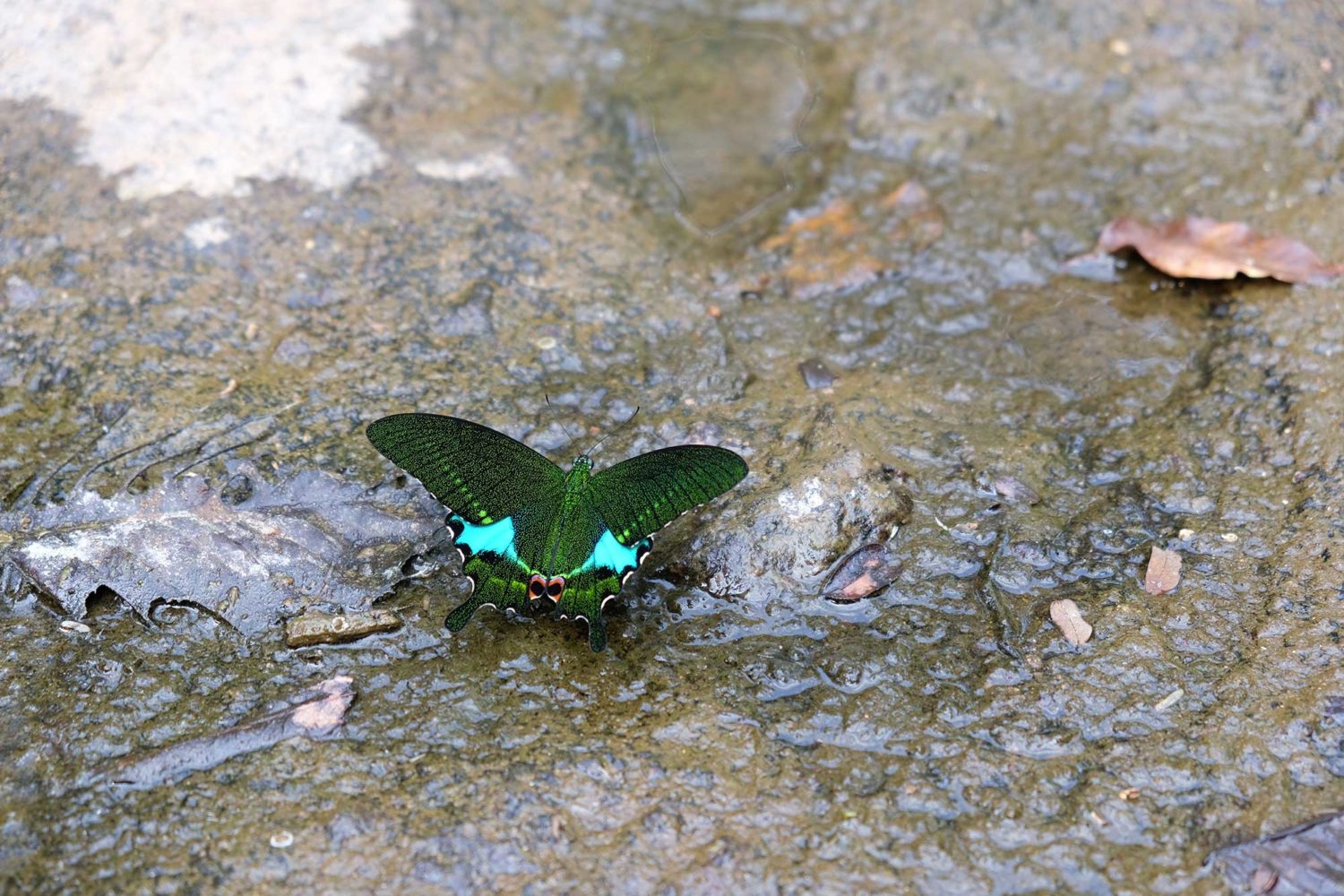 Khao Yai Thailande 