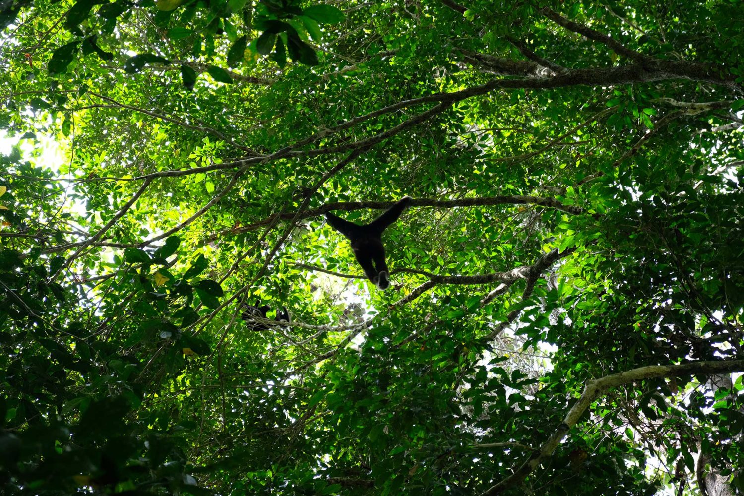 Khao Yai Thailande 