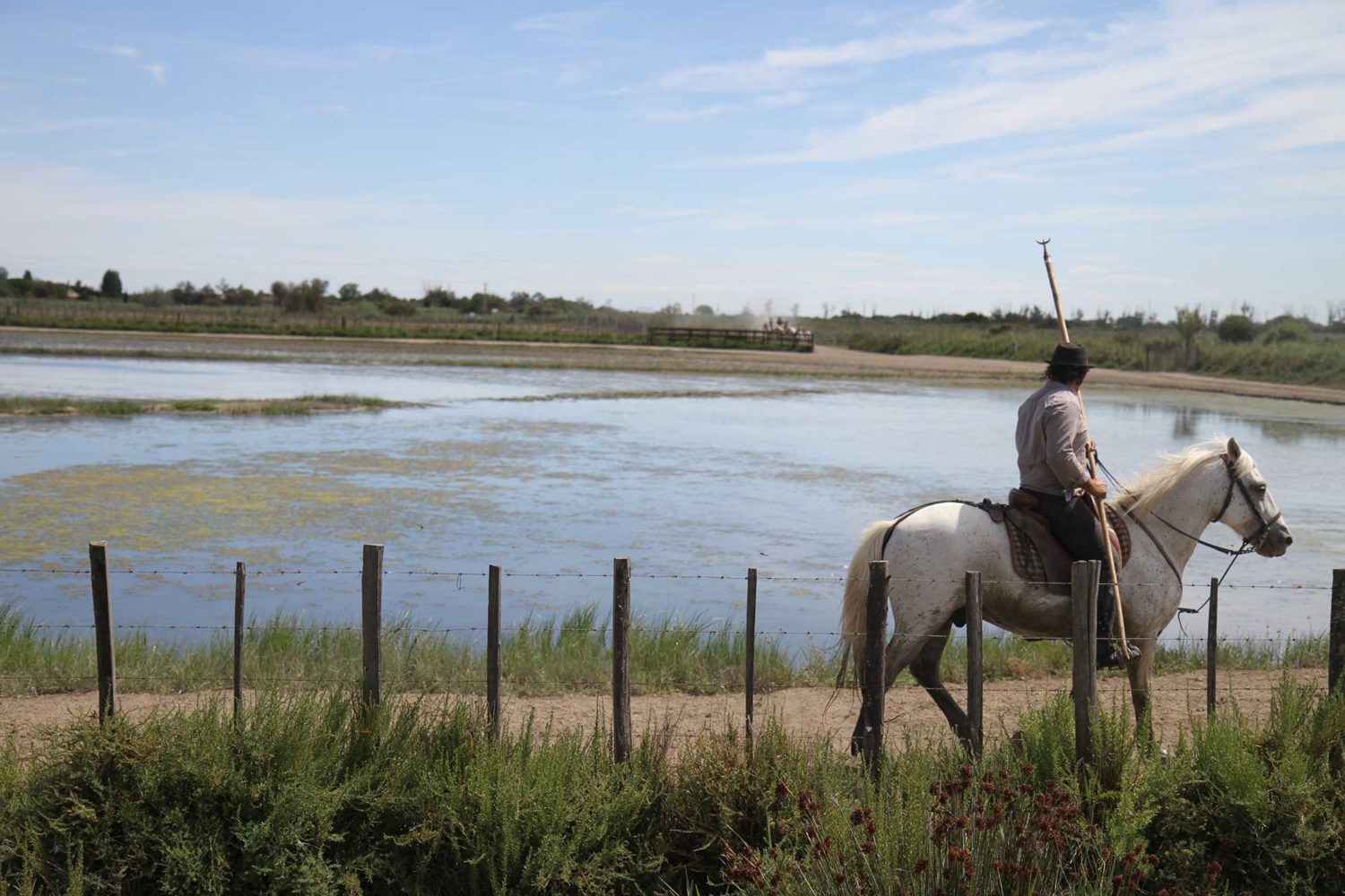 Manade des Baumelles Camargue
