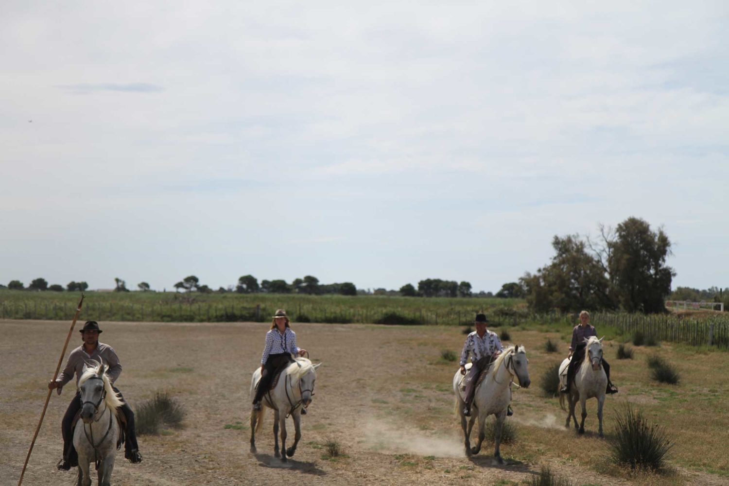 Manade des Baumelles Camargue
