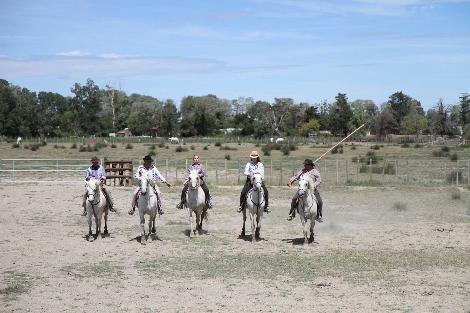 Manade des Baumelles Camargue chevaux et manadiers