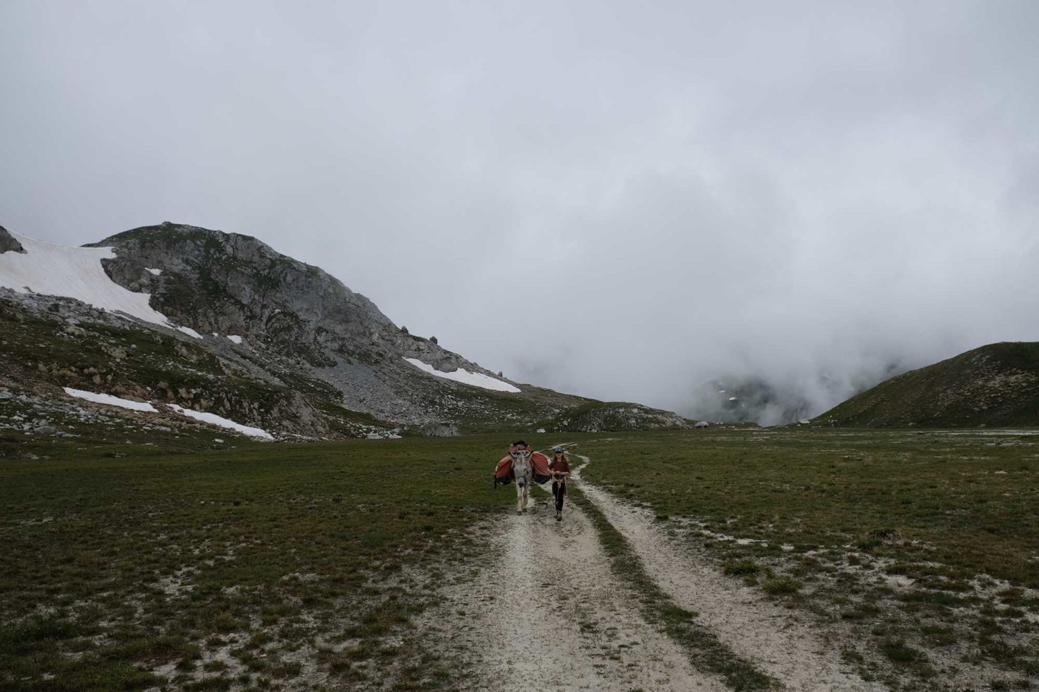 âne en Vanosie randonnée avec des enfants 