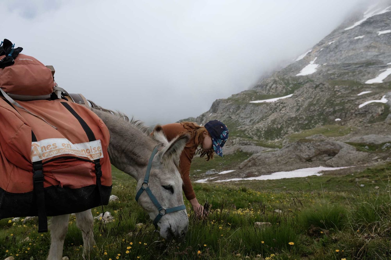 randonnée itinérante avec un âne en Vanoise 