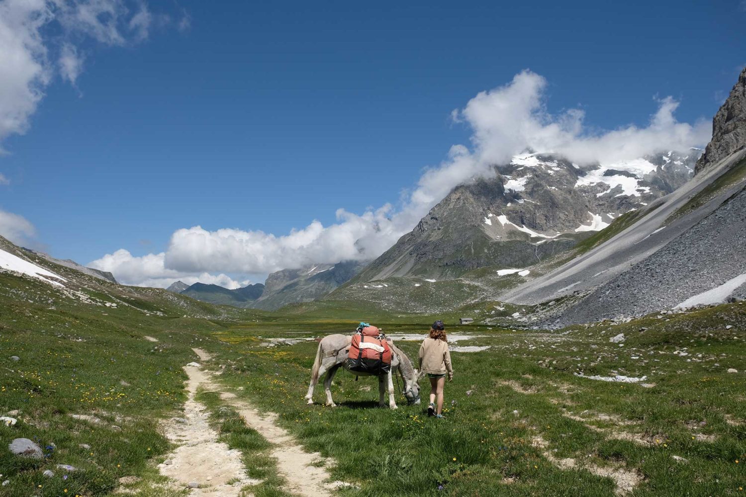 randonnée avec un âne parc national de la Vanoise 