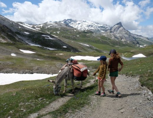 randonnée avec un âne col du Palet