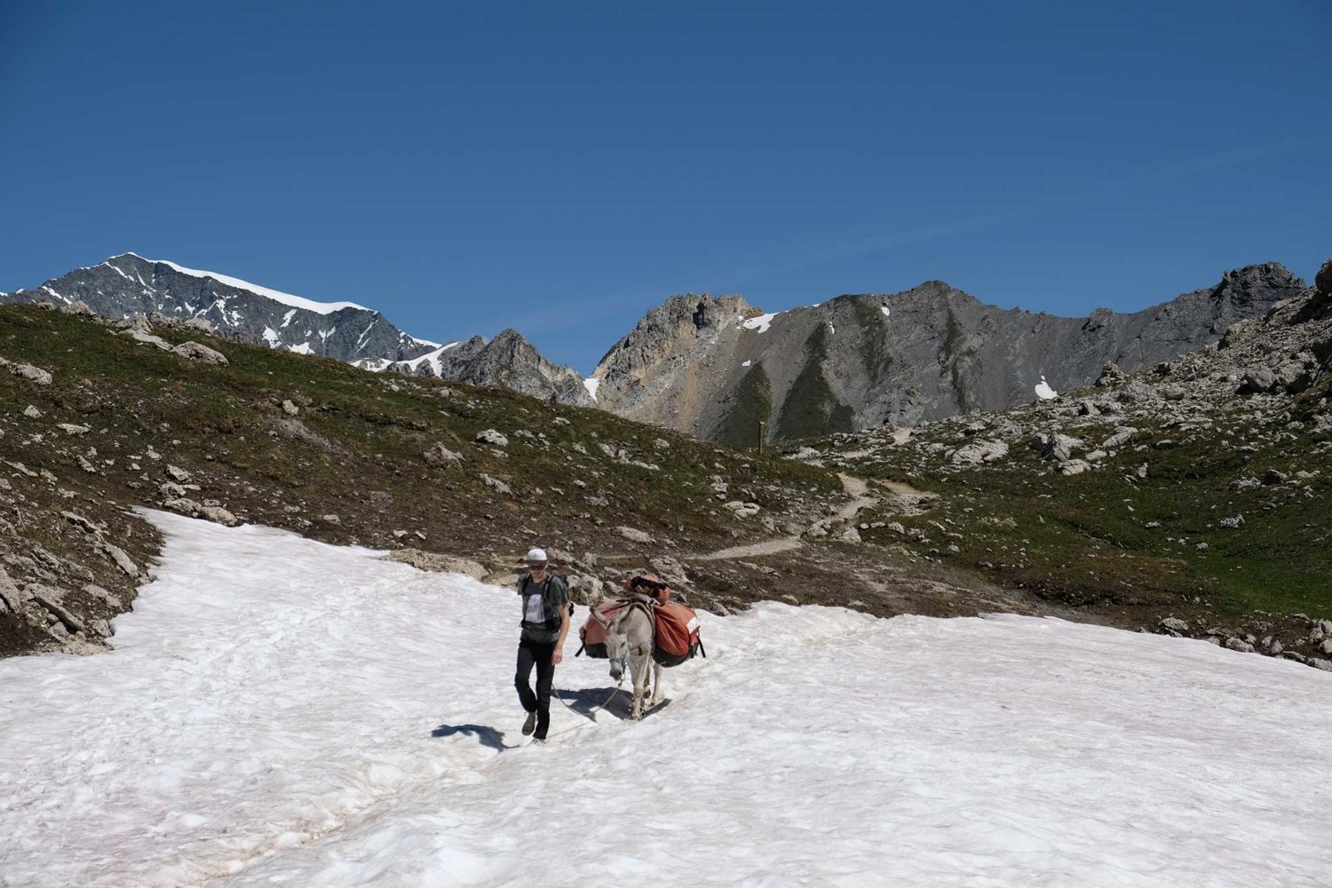 Névés Parce national de la Vanoise